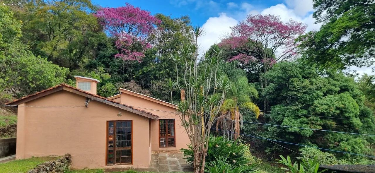 Chácara, 12 quartos, 4 hectares - Foto 3