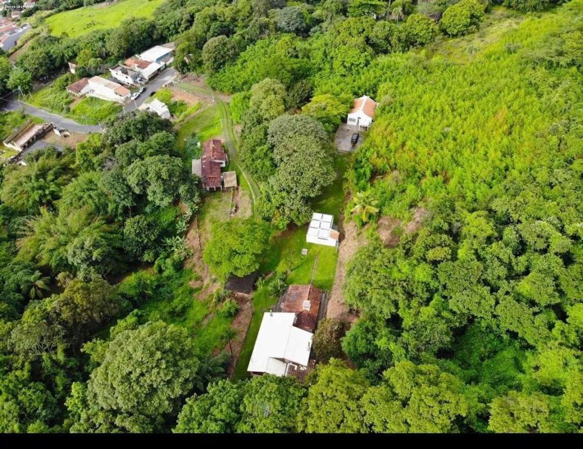 Chácara, 12 quartos, 4 hectares - Foto 1