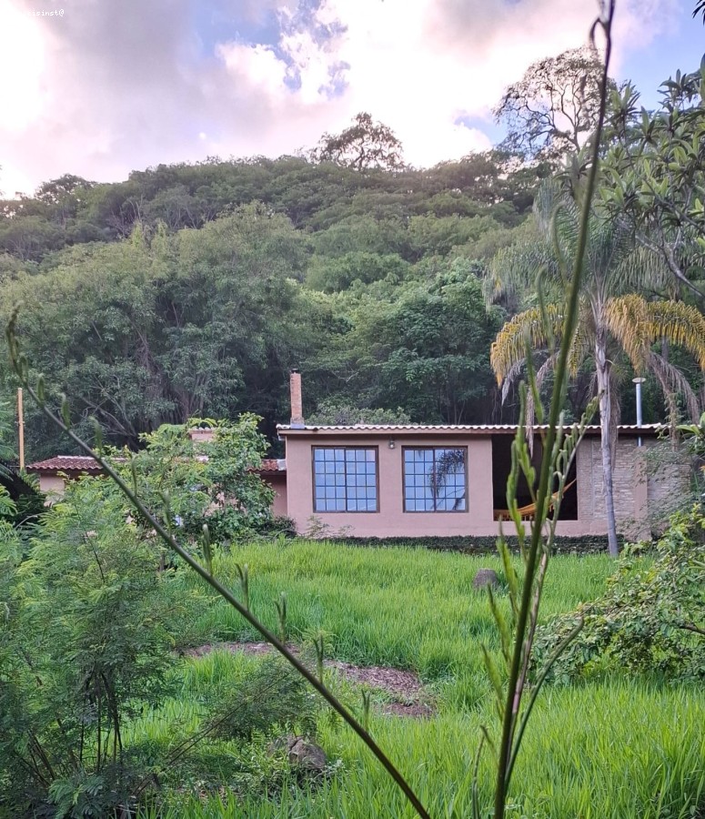 Chácara, 12 quartos, 4 hectares - Foto 13